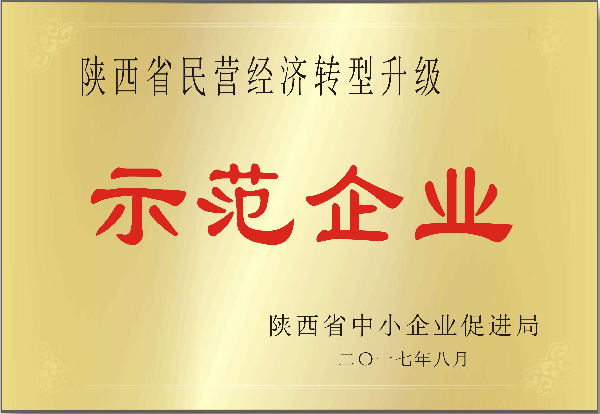 陜西省民營經(jīng)濟(jì)轉(zhuǎn)型升級示范企業(yè)